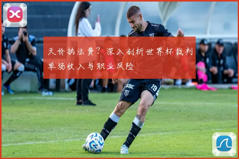 天价执法费？深入剖析世界杯裁判单场收入与职业风险