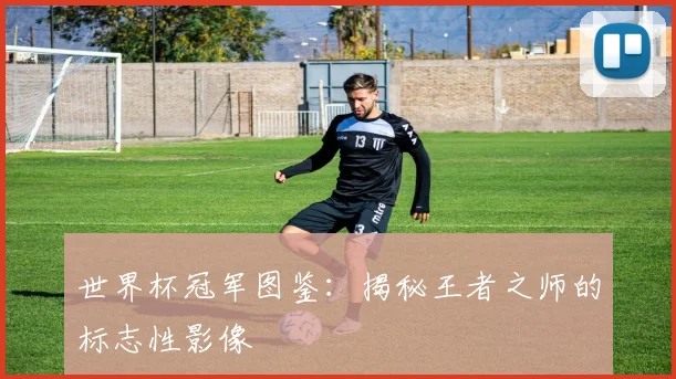 世界杯冠军图鉴：揭秘王者之师的标志性影像