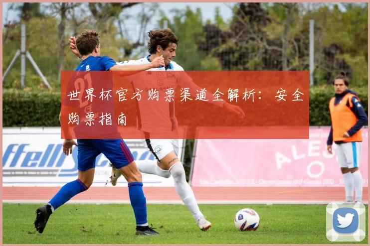 世界杯官方购票渠道全解析：安全购票指南