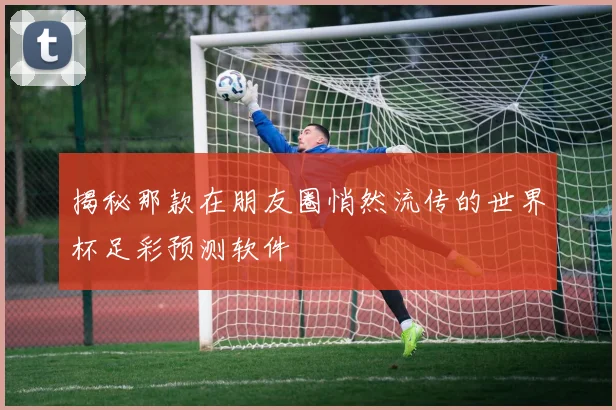揭秘那款在朋友圈悄然流传的世界杯足彩预测软件