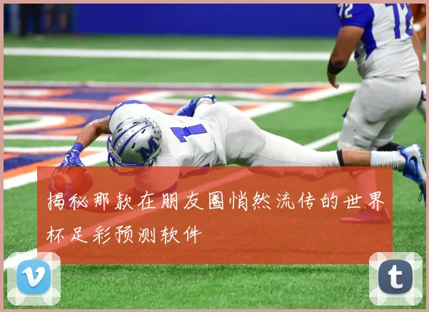 揭秘那款在朋友圈悄然流传的世界杯足彩预测软件