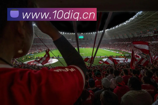 多媒体互动体验